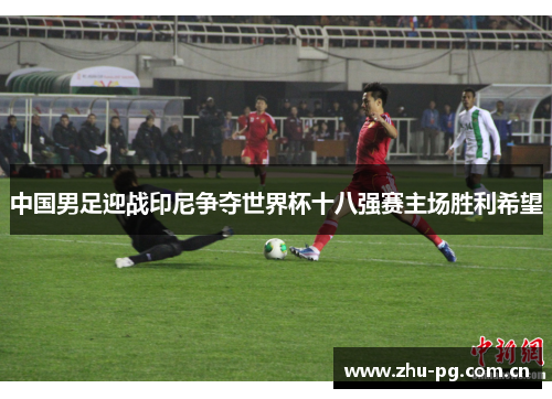 中国男足迎战印尼争夺世界杯十八强赛主场胜利希望