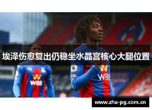 埃泽伤愈复出仍稳坐水晶宫核心大腿位置 埃泽伤愈复出仍稳坐水晶宫核心大腿位置